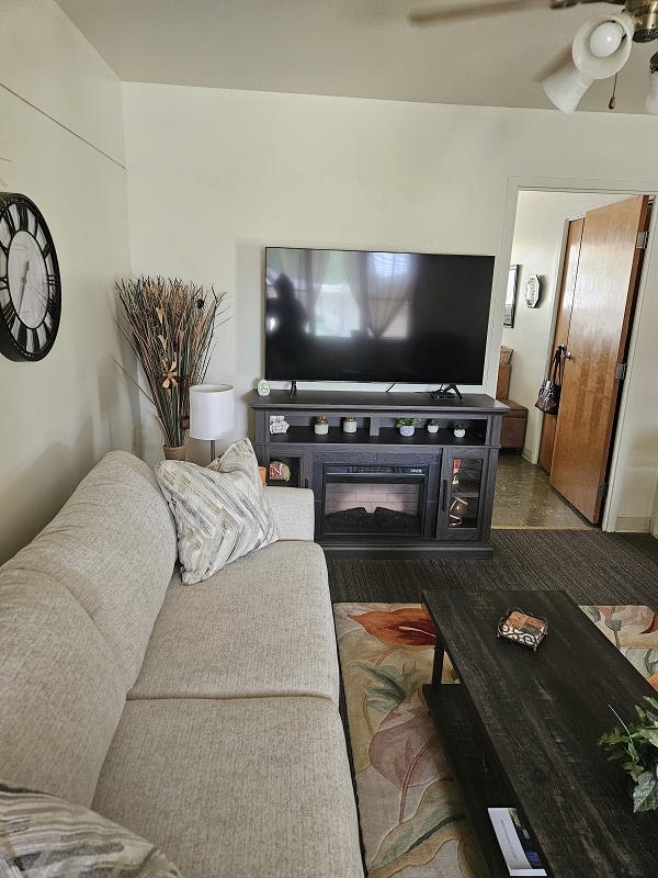 Apartment Living Room counch and tv